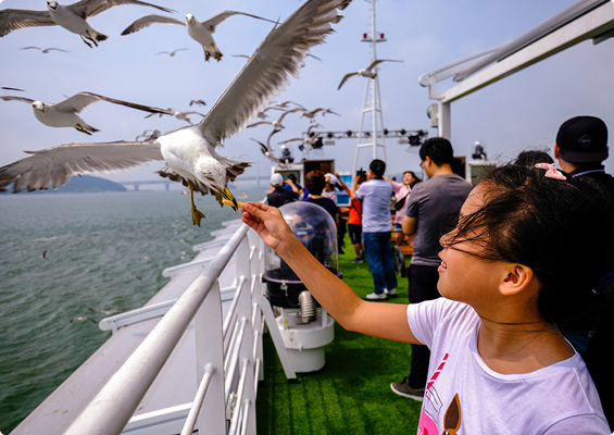 갈매기 먹이주며 동심으로!